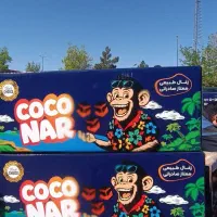 فروش زغال نارگیل ذغال حبه coconar کوکونار