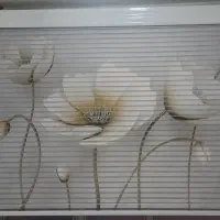 پرده زبرا