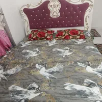 اجاره روزانه سوییت مجردومتاهل وساعتی
