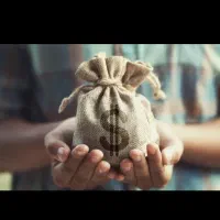 * ظرفیت محدود برای جذب همکار جدید