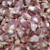 سنگدان مرغ فله گرم و منجمد