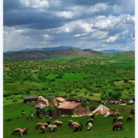 فروش لبنیات محلی کوهستان