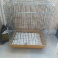 قفس پرنده محکم