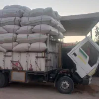 کاه ، یونجه