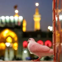 کاروان زیارتی و به صرفه مشهد مقدس
