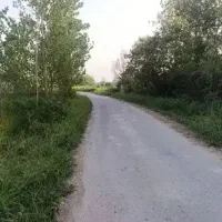 دو پلاک زمین داخل طرح هادی