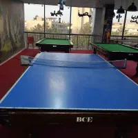 میز پینگ پنگ