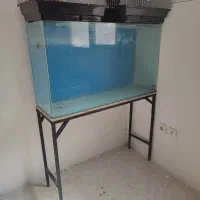 آکواریوم شیشه خم