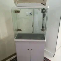 آکواریوم شیشه خم