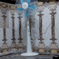 پنکه نو توکارتون