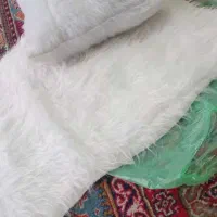 پادری خزر داره
