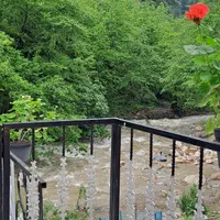 **ویلا جنگلی در دل طبیعت**