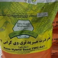 ذرت زود رس ۶۴۷