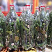 خیارشور اعلا ریز بطری جانوشابه