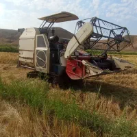 کمپان برنج