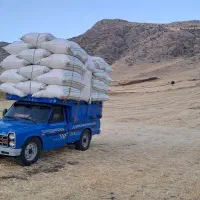 کاه گندم دیم درجه یک نِک