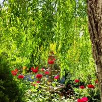 باغ تالار با بهترین تخفیفات ۴۰۴