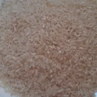 برنج سر لاشه،هاشمی،عنبر بو،وپاکستانی