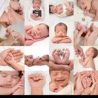 استخدام فیلمبردار و عکاس