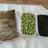 فروش محصولات خانگی و محلی