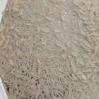 برنج فجر سوزنی ۹۰روزه