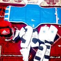 ورزش تکواندو