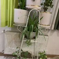 استند گل دهتایی