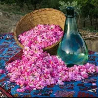 فروش گلاب درجه یک