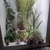 مغازه با بهترین موقعیت