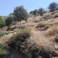 فروش-خانه-ویلایی