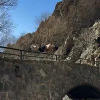 مربی خصوصی آمادگی جسمانی و دفاع شخصی