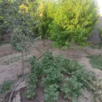 اجاره کوتاه مدت ویلاباغ