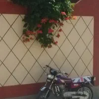 موتور