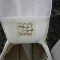 کفش|کیف، کفش، کمربند|فسا, |دیوار