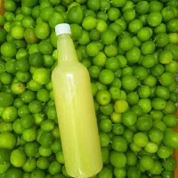 پخش عمده اب لیمو ابغوره سرکه سیب اب زرشک البالو