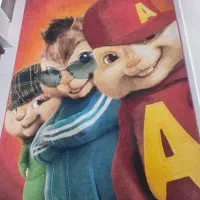 فرش آلوین|فرش|تهران, اسفندیاری|دیوار