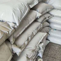 غذای کپور