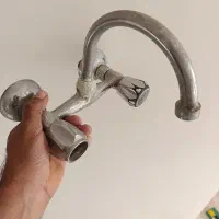 شیر دوقلو