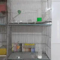 قفس پرنده سری اول