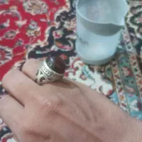 سلیمانی کله قندی درشت