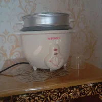 پلوپز برقی