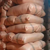 کاه شلیف