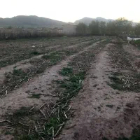زمین مسکونی