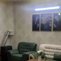 لوستر دو نمونه سالم یکی نو و یکی در حد نو