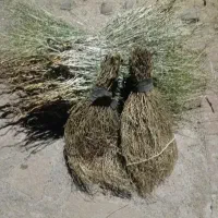 جارو دستی