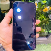 اپل iPhone 12 Pro Max با حافظهٔ ۲۵۶ گیگابایت|موبایل|تهران, سرتخت|دیوار