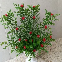 دکوری منزل