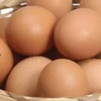 تخم مرغ محلی