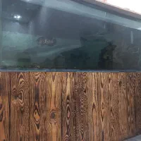 آکواریوم