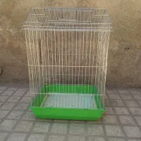 قفس عروس هلندی